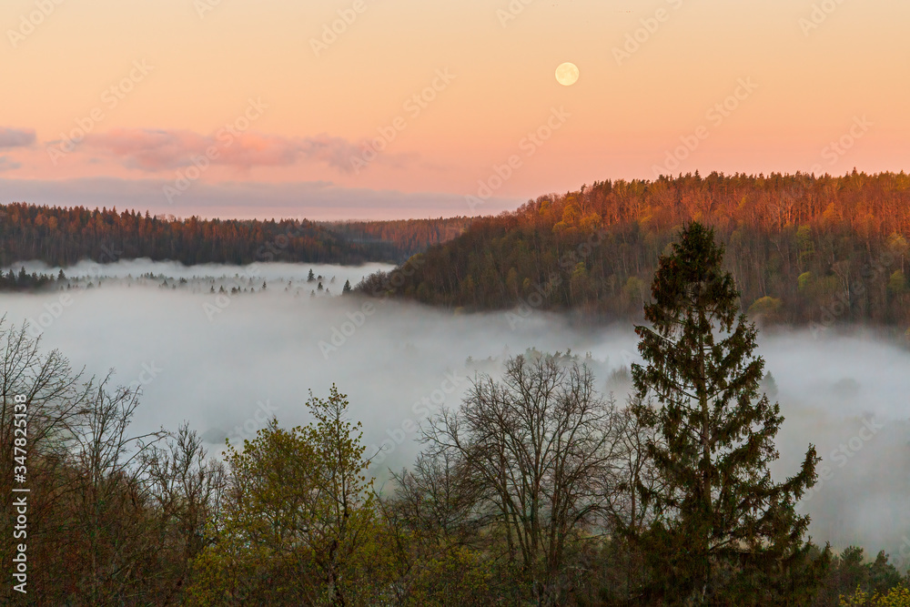 A beautiful scene at river Gauja valley in sunrise at 5 a.m with beautiful fog covering river, surrounding forest and full moon, shot was taken in May in Sigulda in Latvia