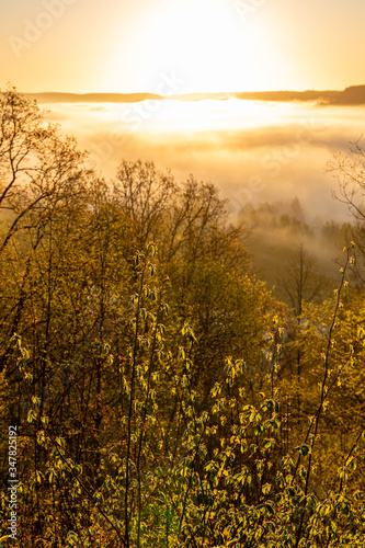 A beautiful scene at river Gauja valley in sunrise at 5 a.m with beautiful fog covering river and surrounding forest, shot was taken in May in Sigulda in Latvia