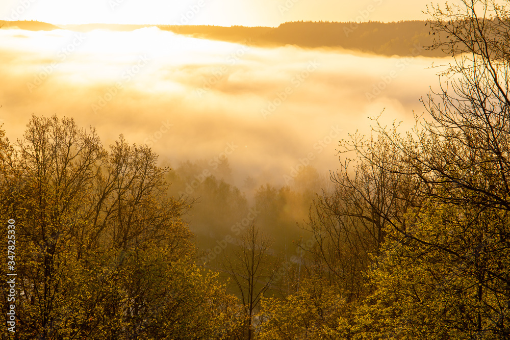 A beautiful scene at river Gauja valley in sunrise at 5 a.m with beautiful fog covering river and surrounding forest, shot was taken in May in Sigulda in Latvia A beautiful scene at river Gauja valley in sunrise at 5 a.m with beautiful fog covering river and surrounding forest, shot was taken in May in Sigulda in Latvia