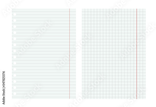 Realistic vector checkered and lined notebook sheet