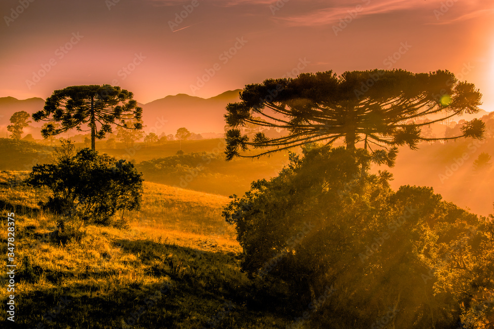 Fototapeta premium Sunset