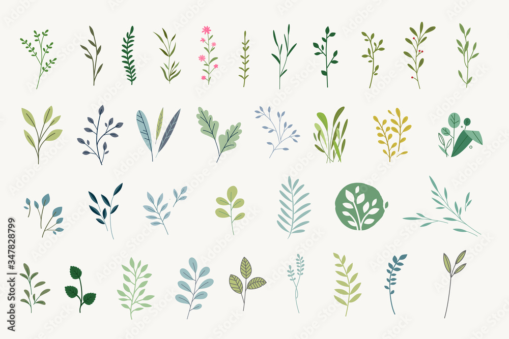 Set of natural and floral elements for graphic and web design. Vector illustrations for natural and organic products, beauty, fashion, spa and wellness, wedding and events, environment.  - obrazy, fototapety, plakaty 