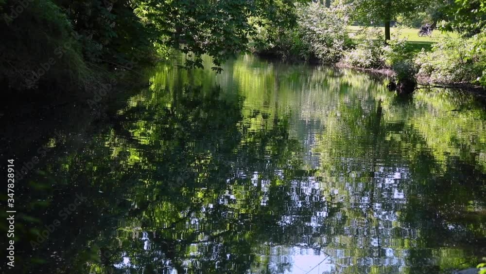 pond and reflection on the water surface, camera movement towards the shore pond and reflection on the water surface, camera movement towards the shore