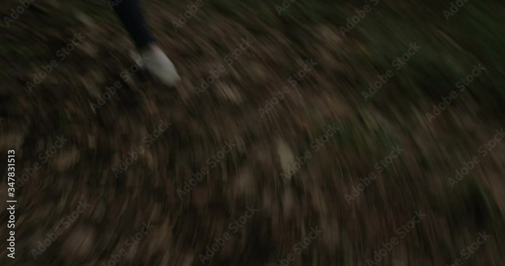 Scared women legs run from wolf in a dense forest, original audio included