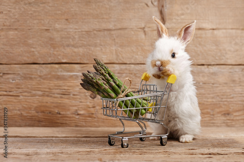 Cute bunny rabbit with asparagus shopping basket, healthy food concept