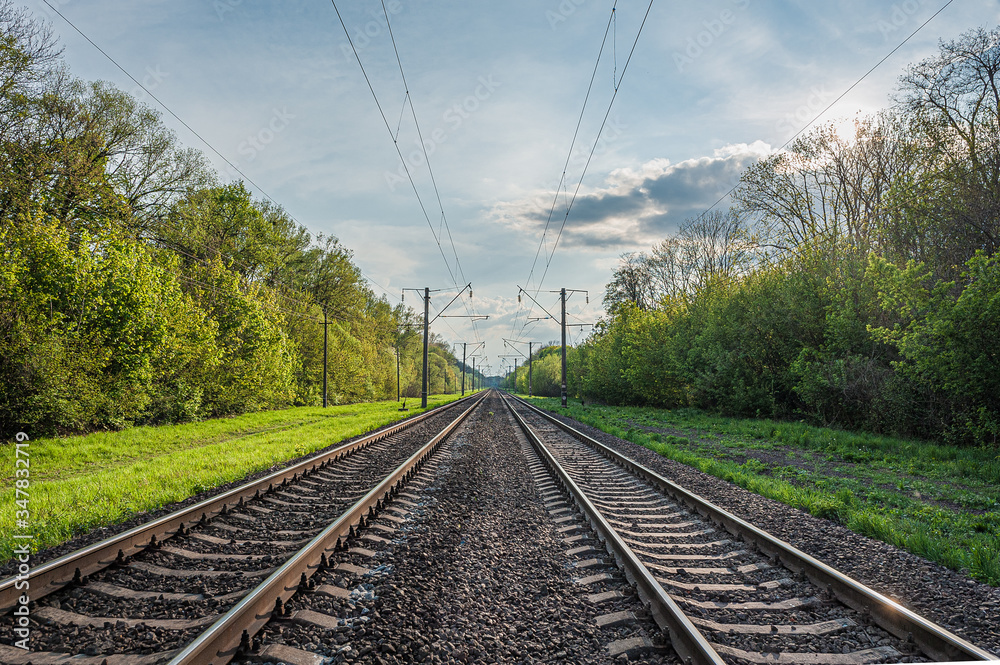 two railway tracks go into the distance in the middle of a green forest