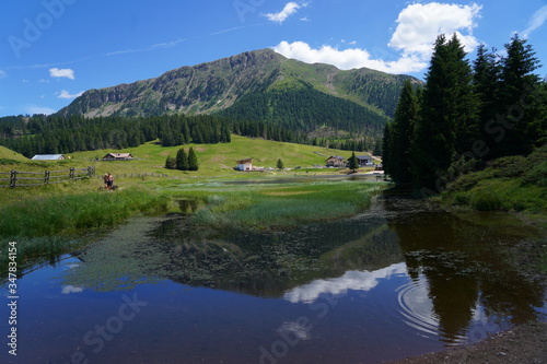 lake at the lavaze pass. Lavaze Pass in South Tyrol, Bolzano Province: is one of the most fascinating landscapes of Val di Fiemme. Trentino Alto Adige. Dolomiti, northern Italy.