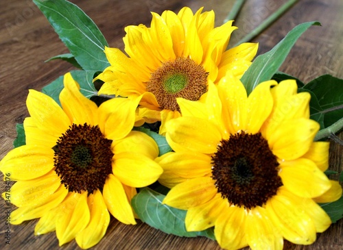 bright yellow sunflowers on a sunny day