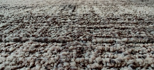 Carpet flooring
