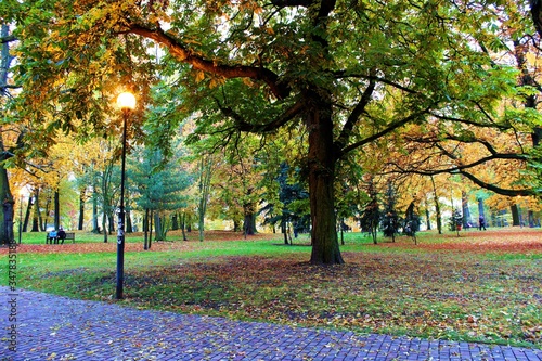 bright colorful warm autumn in the city