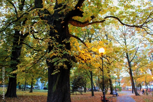 bright colorful warm autumn in the city