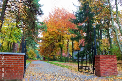 bright colorful warm autumn in the city