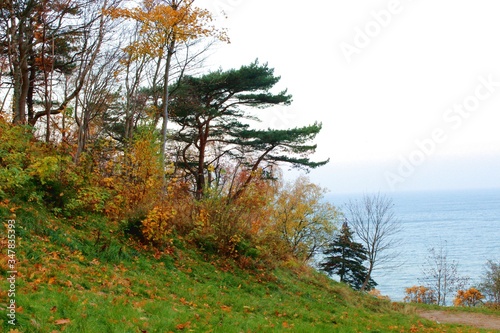 bright colorful warm autumn in the city