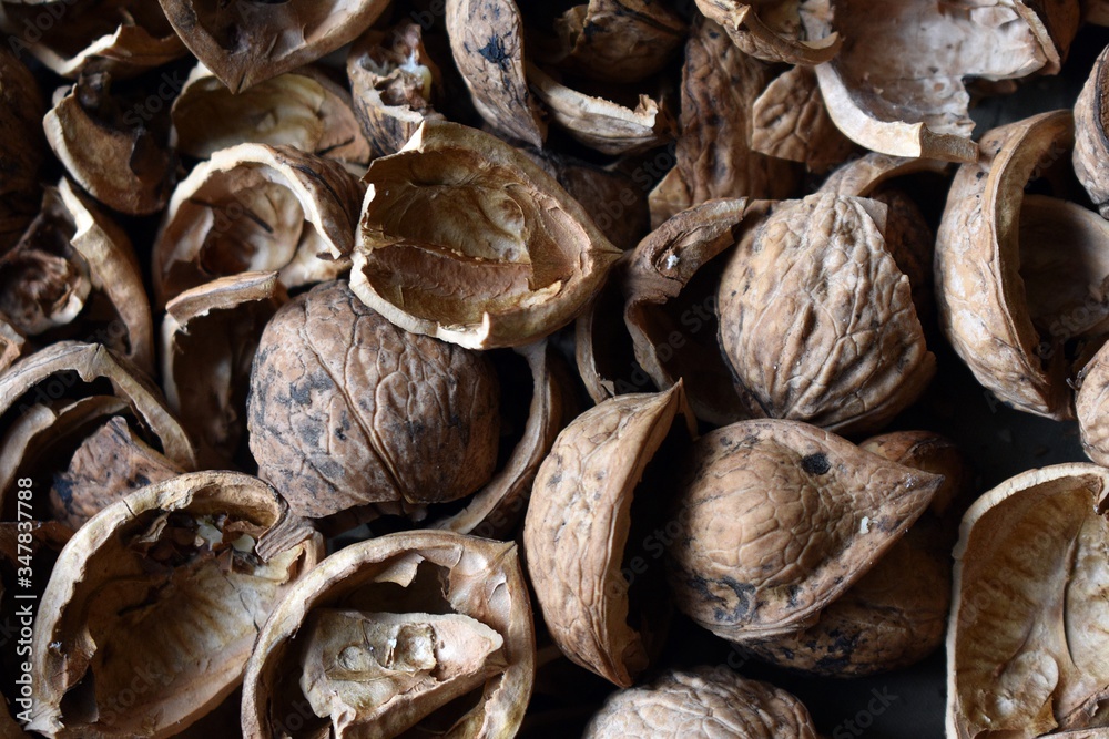 Obraz premium skorupki orzecha
