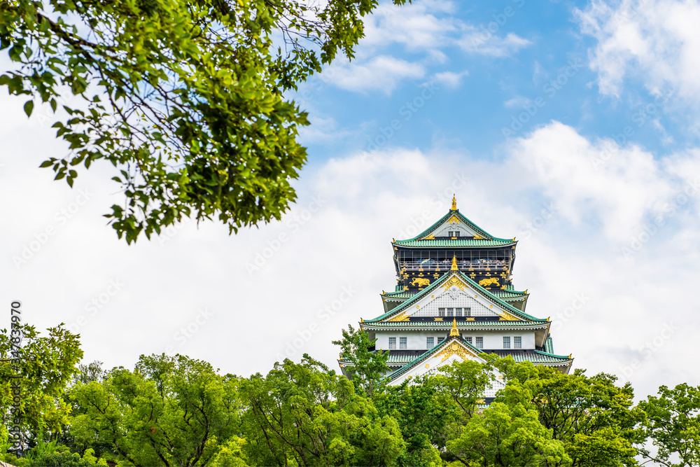 Fototapeta premium Osaka Castle surrounded with fresh green sakura trees in Summer Blue Sky Day, Osaka, Japan