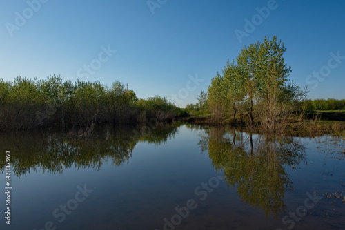Russia, Kuznetsky Alatau. Flooded with spring water, the shore of the Tom river near the village of Osinovoe Pleso. © Александр Катаржин