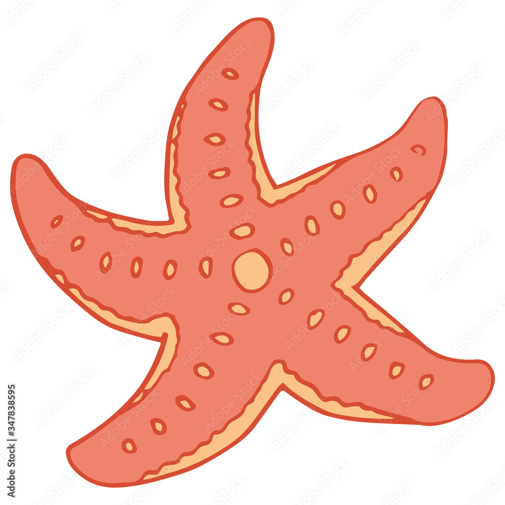 Pink starfish on white isolated backdrop. Coral reef animal for invitation or gift card, pet shop logo, diving club, bath tile. Phone case or cloth print art. Doodle style stock vector illustration Pink starfish on white isolated backdrop. Coral reef animal for invitation or gift card, pet shop logo, diving club, bath tile. Phone case or cloth print art. Doodle style stock vector illustration