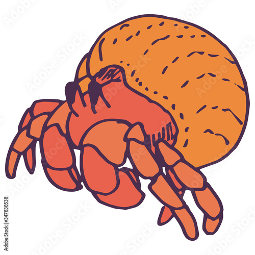 Red hermit crab on white isolated backdrop. Pagurian for invitation and gift card, tattoo parlor or seafood store logo, bath tile. Phone case or cloth print. Doodle style stock vector illustration