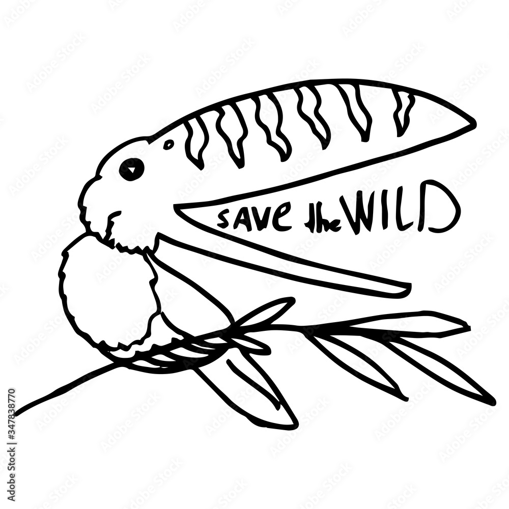 Obraz premium Save the wild text on white isolated backdrop. Zero waste eco movement for invitation or gift card, social banner, eco blog, flyer. Phone case or cloth print. Doodle style stock vector illustration