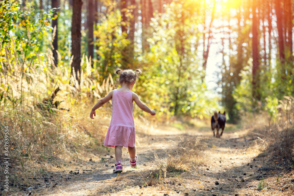 Obraz premium Little girl with dog running on the road in forest in summer on a sunny day. Back to camera