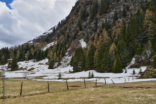 Frühling, Frühjahr, Schneeschmelze, zentralalpen, Alpenhauptkamm, Hohe Tauern, Felbertauern, Wohlgemuthalm, Hütte, Almhütte, Zaun, Holzzaun, Matreier Tauernhaus, Alm, Schnee, Schneefeld, Wiese, Almwie photo