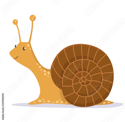 Cute snail on white background. Vector illustration.