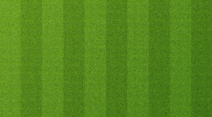 Green grass texture for sport background. Detailed pattern of green soccer field or football field grass lawn texture. Green lawn texture background.