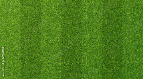 Green grass texture for sport background. Detailed pattern of green soccer field or football field grass lawn texture. Green lawn texture background. © Lifestyle Graphic