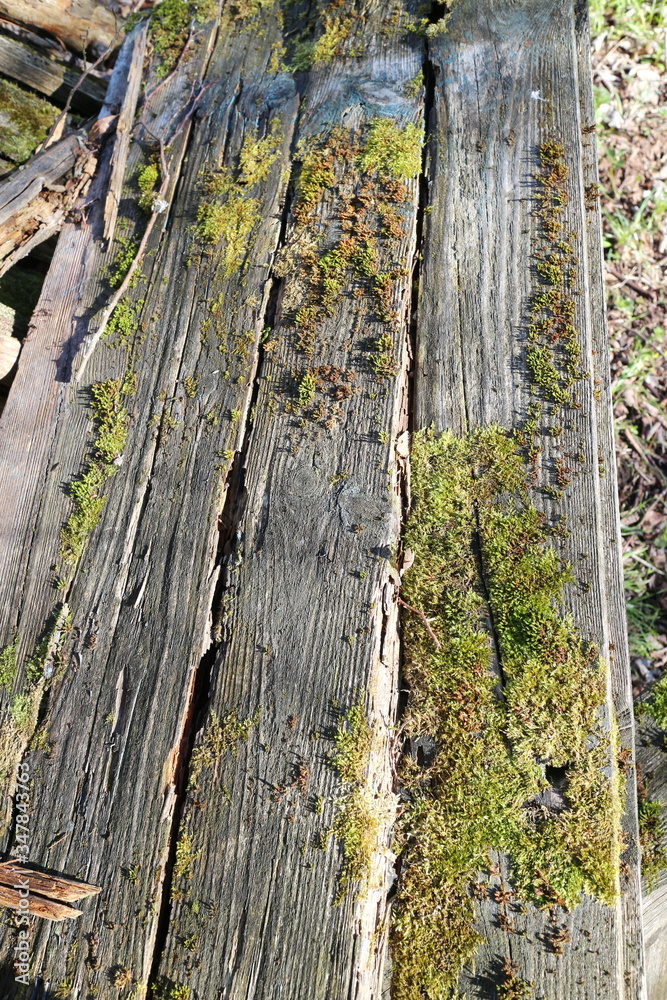 Obraz premium Old boards and logs closeup