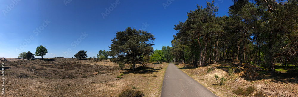 Path through National Park De Hoge Veluwe in Gelderland Path through National Park De Hoge Veluwe in Gelderland