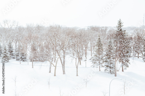 Island Park in Fargo USA