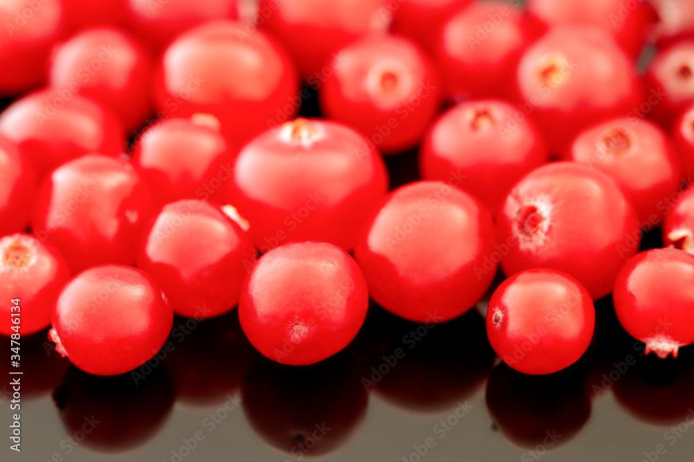 Cranberry close-up on a black mirror background Cranberry close-up on a black mirror background