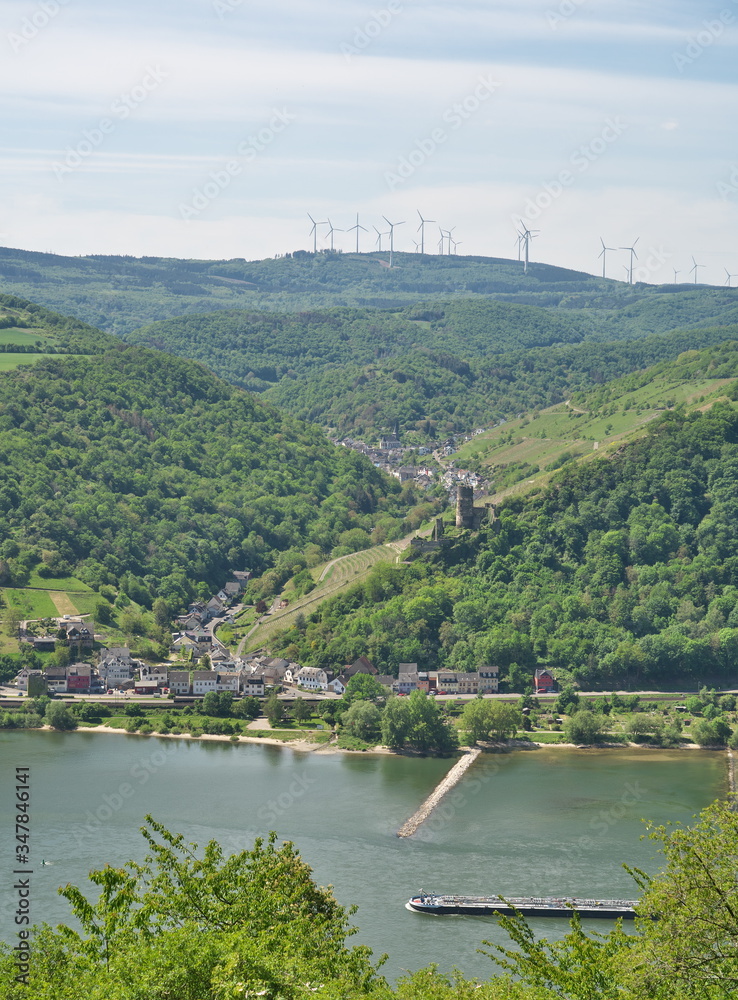 Fototapeta premium Rhein-Wisper-Glück