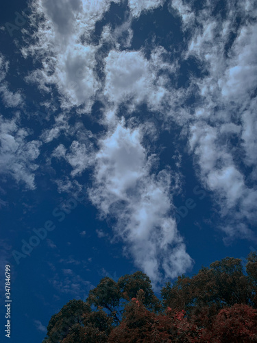 clouds in the sky © dance