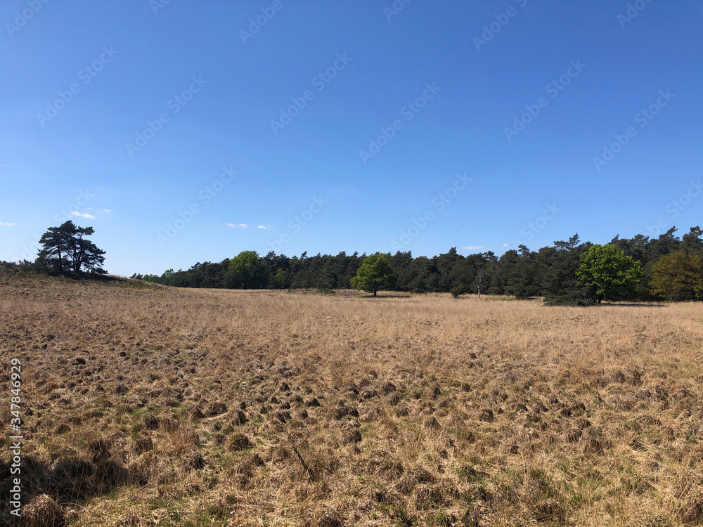 National Park De Hoge Veluwe in Gelderland National Park De Hoge Veluwe in Gelderland