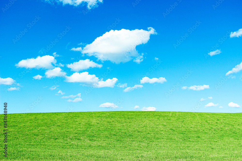 Fototapeta premium 草原と青空