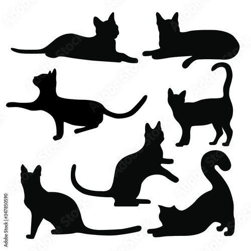 Vector cats in different poses. Cat, kitten sleeps, walks, asks. A pet. Cat silhouette.