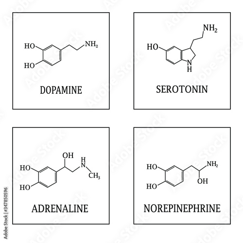 dopamine, serotonin, adrenaline and norepinephrine molecule science chemistry compounds vector stock