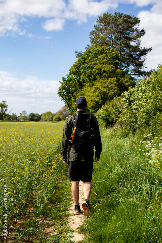 hiker with a backpack on a footpath through a field