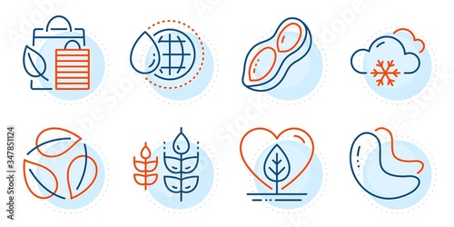 Local grown, Peanut and Bio shopping signs. Leaves, Cashew nut and Gluten free line icons set. Snow weather, World water symbols. Nature leaf, Vegetarian food. Nature set. Outline icons set. Vector