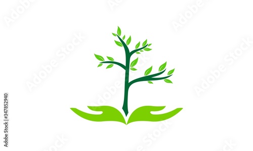 hand care to safe the green plant vector