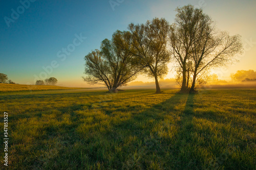 Beautiful landscape with sunrise. Idyllic view. Trees and sun rays. © Lukasz Sokol