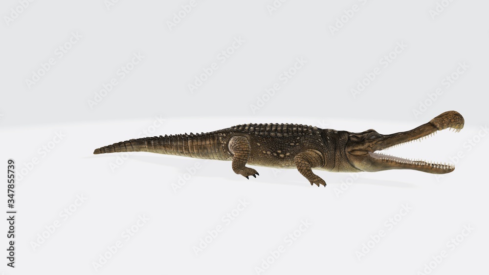 3d illustration of sarcosuchus. Sarcosuchus Reptile - Sarcosuchus is an extinct genus of carnivorous crocodile that lived in the Cretaceous Period of Africa. 3d illustration of sarcosuchus. Sarcosuchus Reptile - Sarcosuchus is an extinct genus of carnivorous crocodile that lived in the Cretaceous Period of Africa.