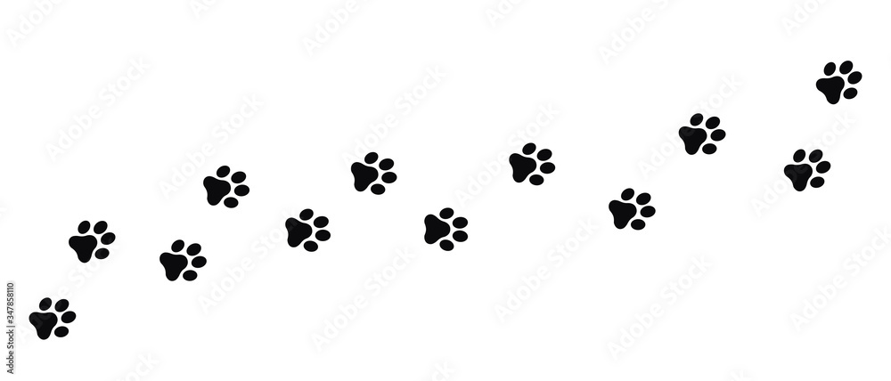 Fototapeta Dog and cat paw print vector icon