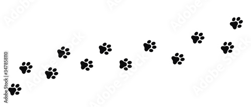 Dog and cat paw print vector icon