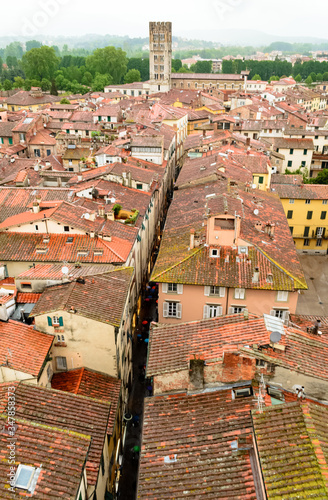 From the guinigi's tower a landscape aerial view of the typical italian red roofs of the medieval town of Lucca in Tuscany, Italy. The Fillungo street a long strait path of the city is clearly visible