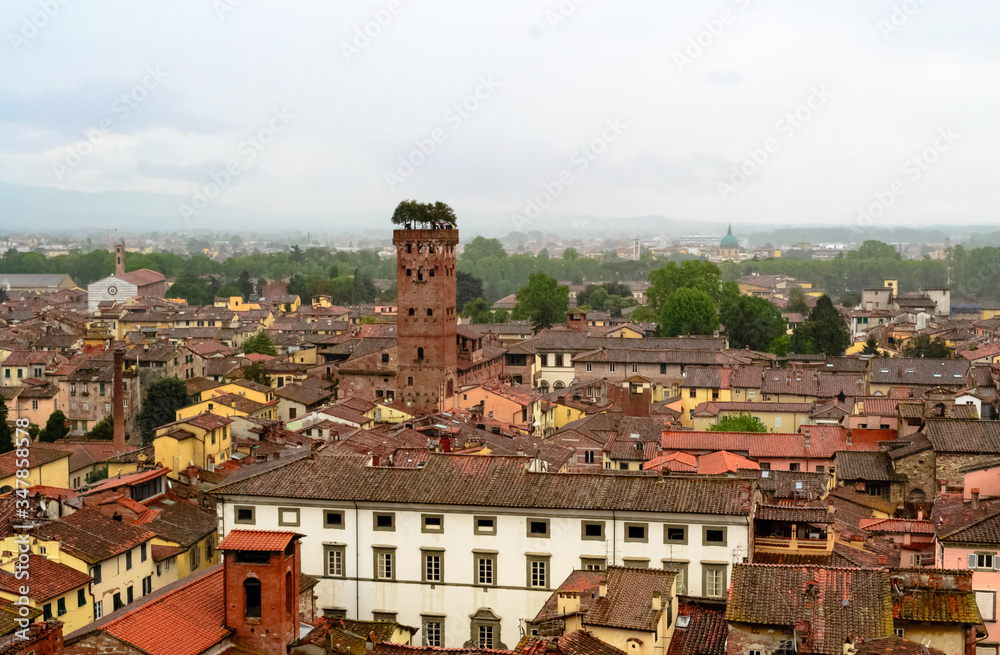 Lucca, Tuscany, Italy. Aerial view of this little medieval town with its famous landmark the Guinigi's tower. A tall building with some little trees on top of it