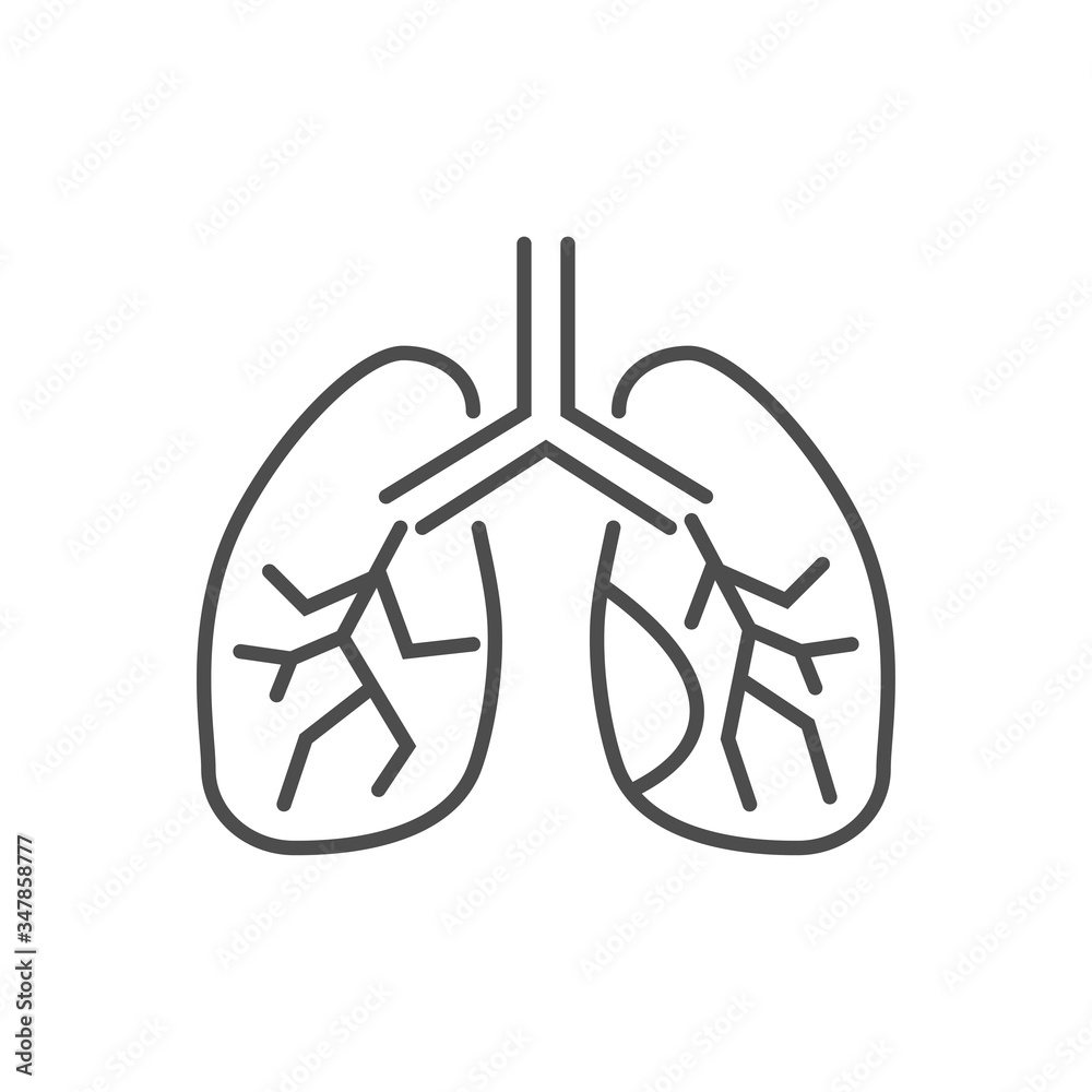 Lungs related vector thin line icon