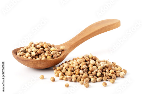 Pile of Coriander seeds with wooden spoon isolated on white background