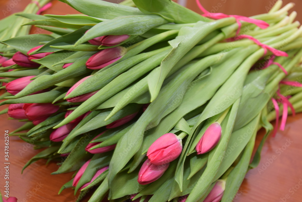 Fototapeta premium Tulips